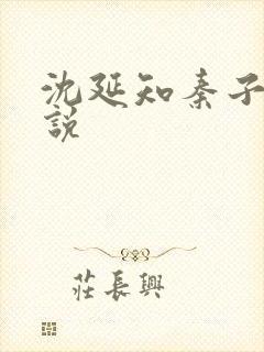 沈延知秦子卿小说