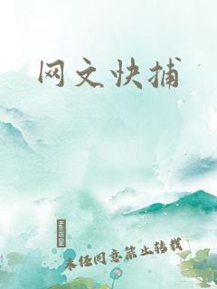 网文快捕