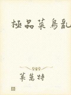 极品菜鸟乱江湖