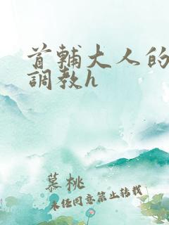 首辅大人的花式调教h