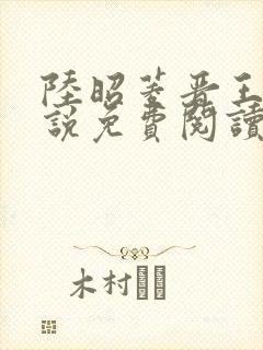 陆昭菱晋王的小说免费阅读