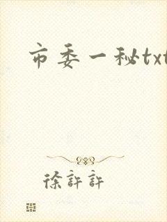 市委一秘txt