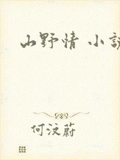 山野情 小说