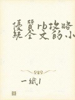 优质rb攻略系统全文的小说