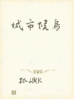 城市候鸟