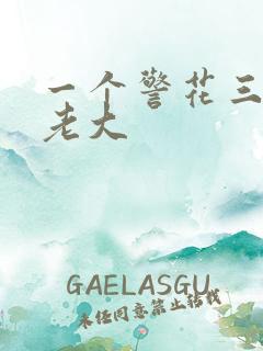 一个警花三个黑老大