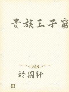 贵族王子穷公主