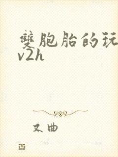 双胞胎的玩具1v2h