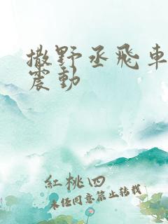 撒野丞飞车道具震动