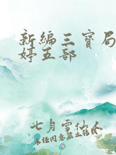 新编三宝局长许婷五部