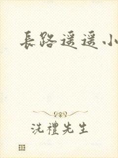 长路遥遥小说