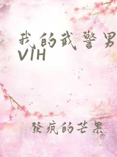 我的武警男友1V1H