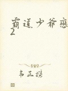 霸道少爷恋上我2