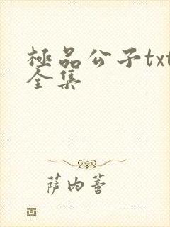 极品公子txt全集