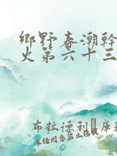 乡野春潮干柴烈火第六十三章