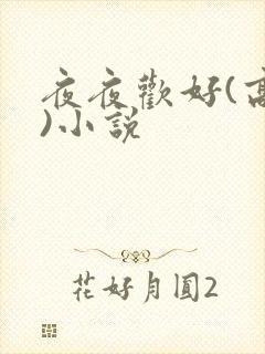 夜夜欢好(高h)小说