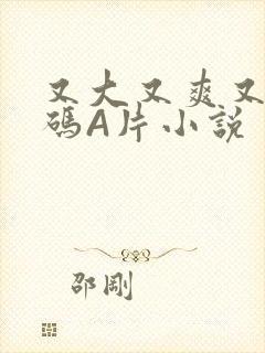 又大又爽又黄无码A片小说