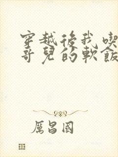 穿越后我吃到了哥儿的软饭炉山灰