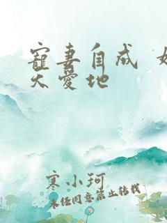 宠妻自成  婚天爱地