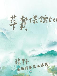 花都保镖txt下载