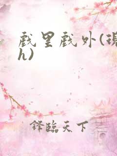 戏里戏外(现场h)