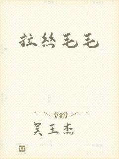 拉丝毛毛