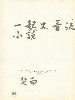 一起又看流星雨小说