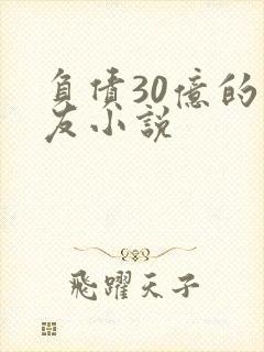 负债30亿的男友小说