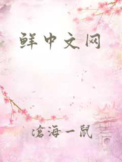 鲜中文网