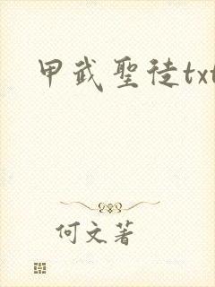 甲武圣徒txt