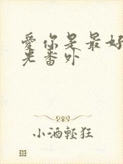 爱你是最好的时光番外