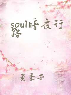 soul暗夜行路