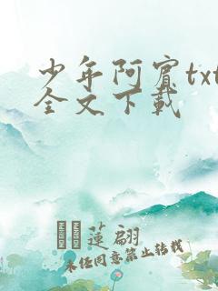 少年阿宾txt全文下载