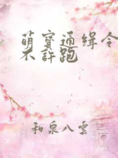 萌宝通缉令妈味不许跑