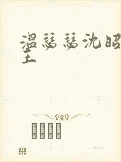 温瑟瑟沈昭摄政王