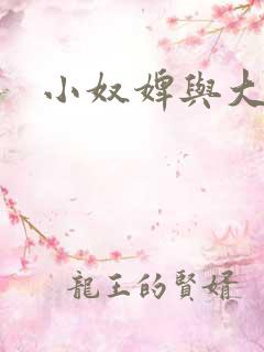 小奴婢与大少爷