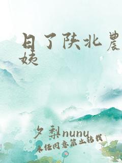 日了陕北农村婆姨