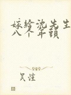 嫁给沈先生的第八个年头