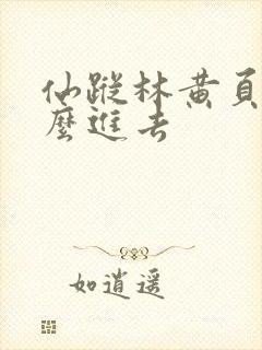 仙踪林黄页网怎么进去