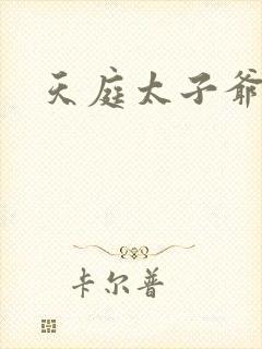 天庭太子爷