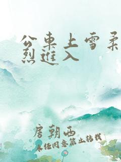 公车上雪柔被猛烈进入