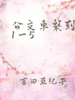 公交车系列合集1一5