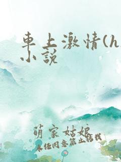 车上激情(h)小说