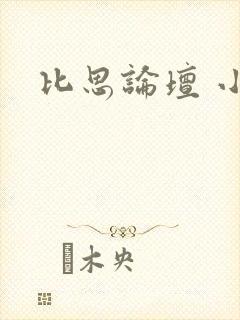 比思论坛 小说