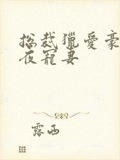 总裁猎爱豪门一夜宠妻