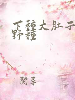 下种大肚子怀孕野种
