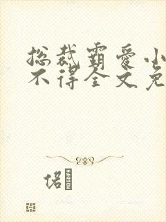 总裁霸爱小妻惹不得全文免费阅读笔趣阁