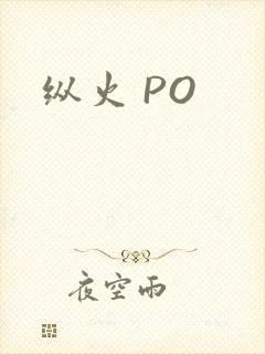 纵火 PO