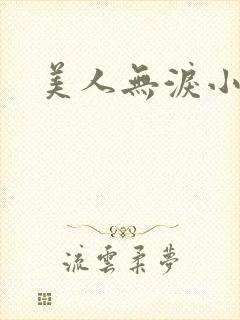 美人无泪小说