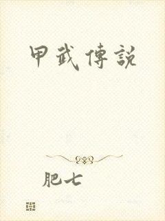 甲武传说